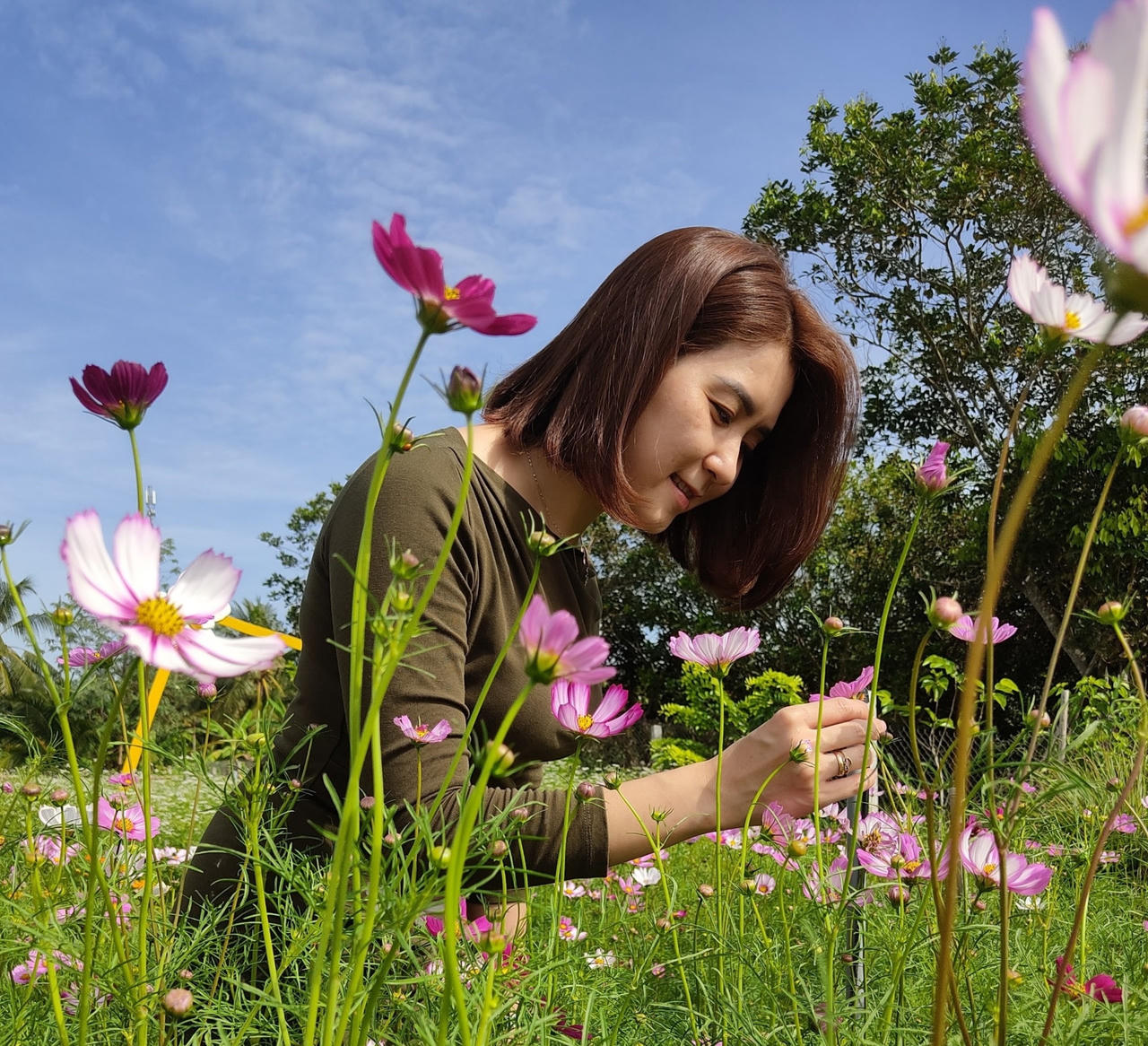  Festival hoa kiểng Sa Đéc - điểm hẹn cho du khách những ngày giao mùa 2024