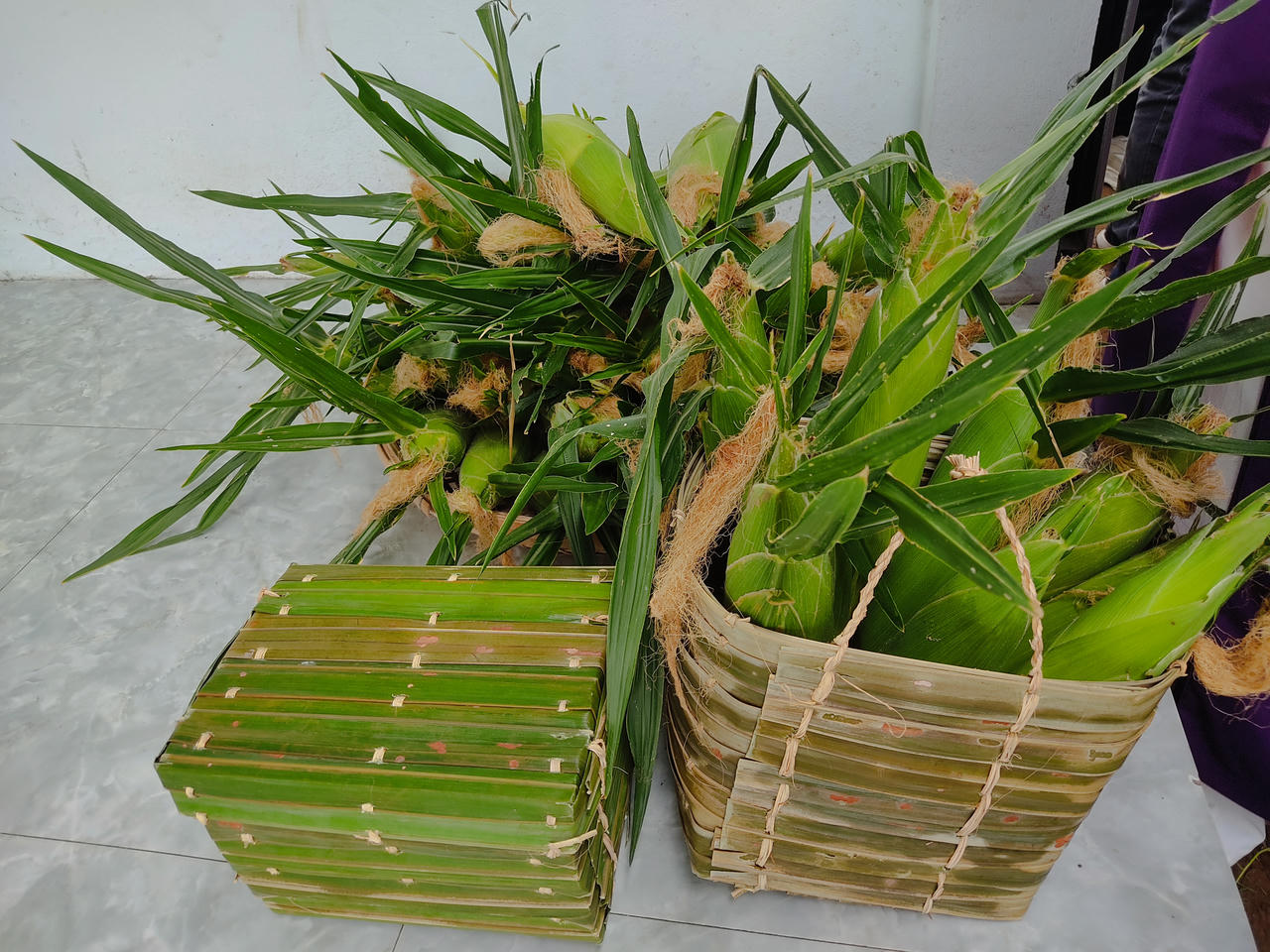 Hành trình 'gieo mầm' du lịch nông nghiệp của chàng trai khuyết tật 