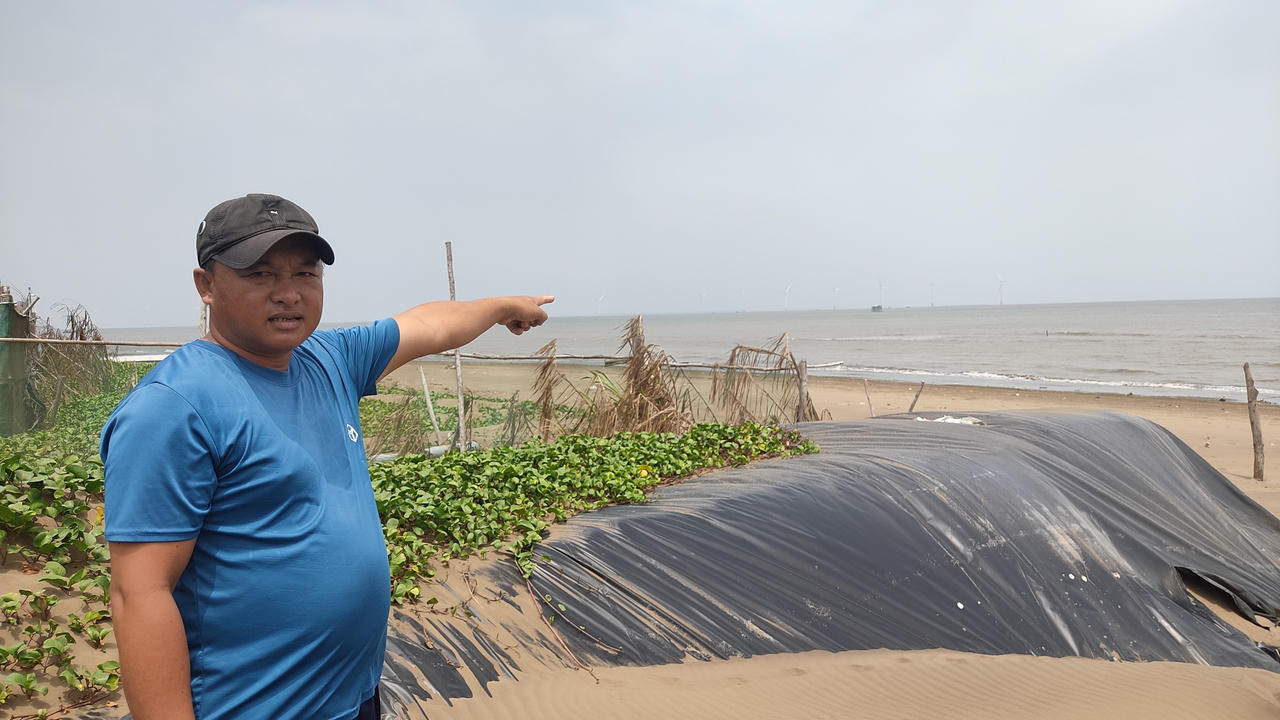 Báo động tình trạng biển xâm thực Thị xã Duyên Hải