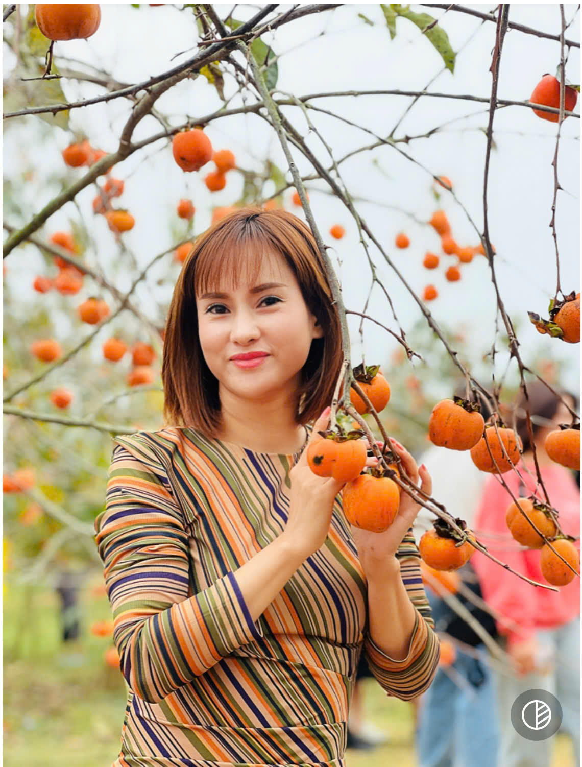 Doanh nghiệp lữ hành Việt 'lên dây cót' cho mùa du lịch Hè 2025