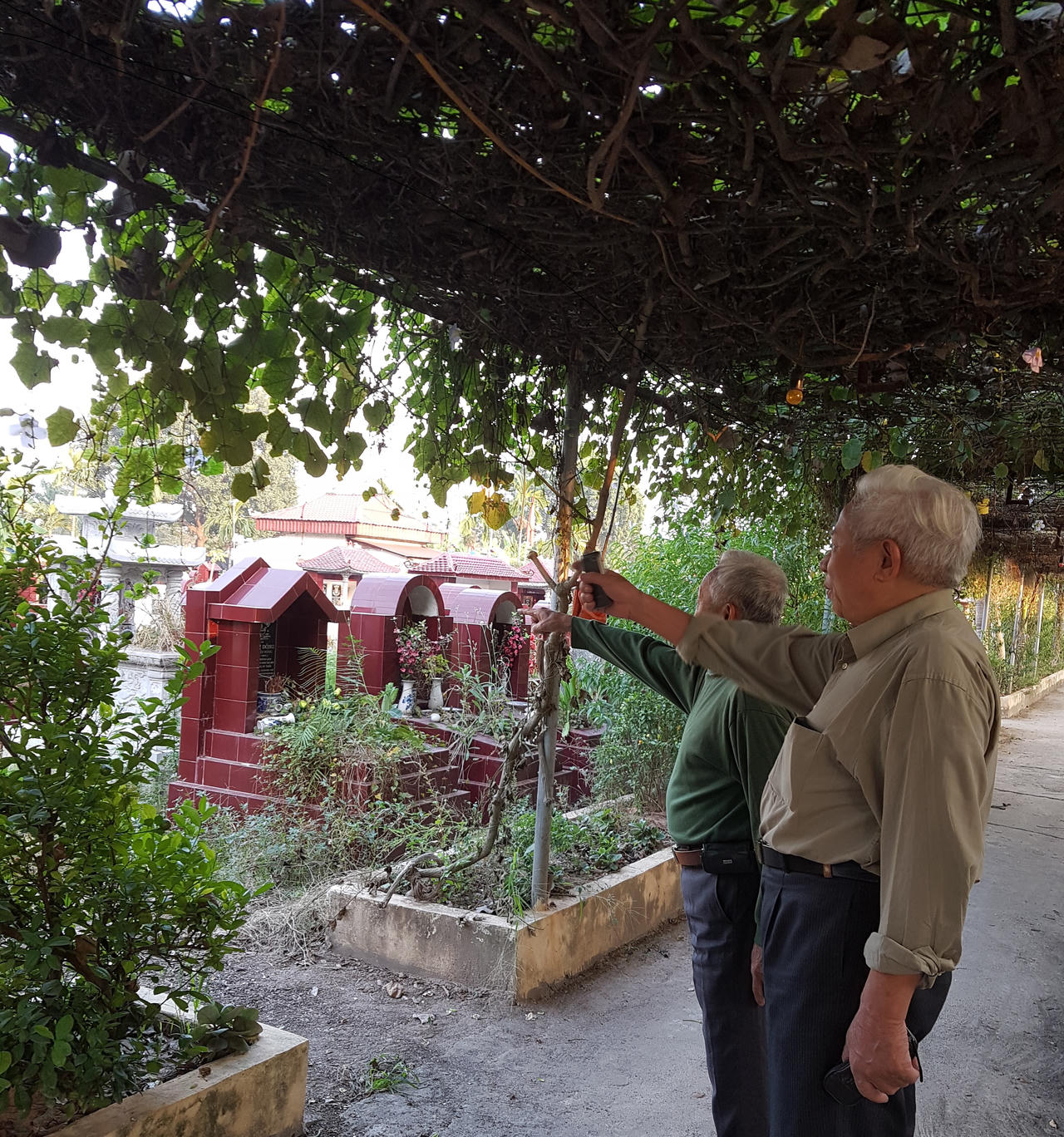 11 năm “gõ cửa” cơ quan chức năng cho nghĩa trang Ao Đường được tồn tại