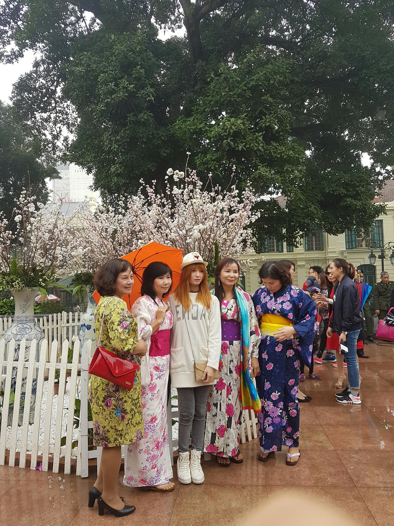 Hà Nội: Người dân thủ đô nô nức với lễ hội hoa anh đào 2017