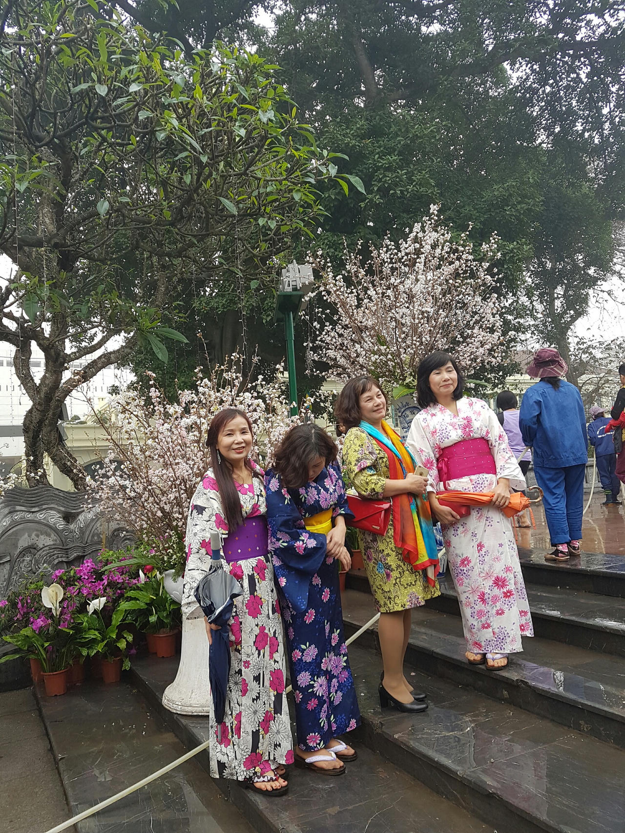 Hà Nội: Người dân thủ đô nô nức với lễ hội hoa anh đào 2017