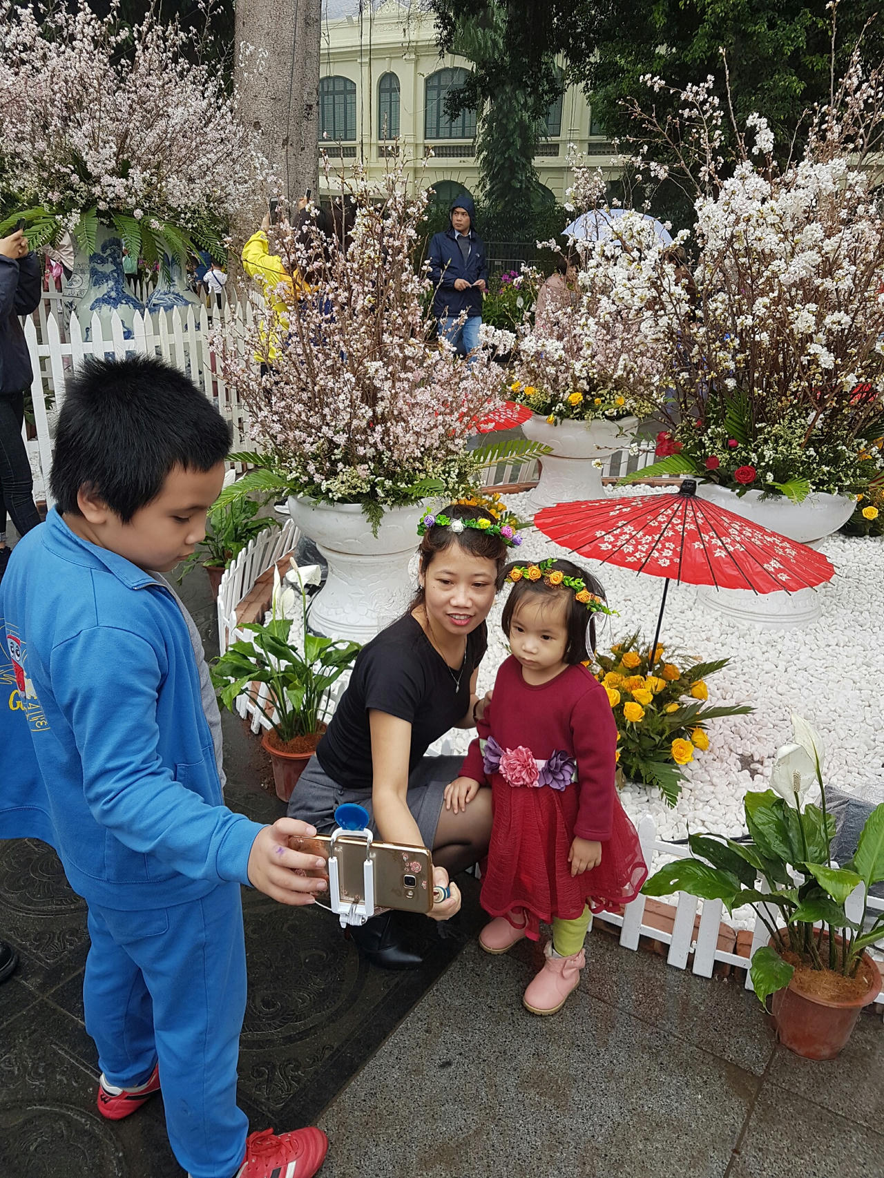 Hà Nội: Người dân thủ đô nô nức với lễ hội hoa anh đào 2017