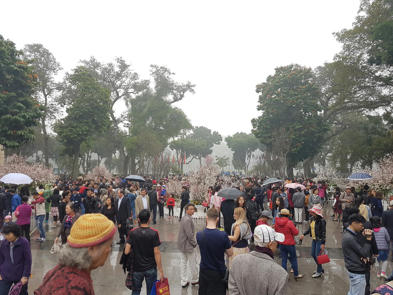 Hà Nội: Người dân thủ đô nô nức với lễ hội hoa anh đào 2017