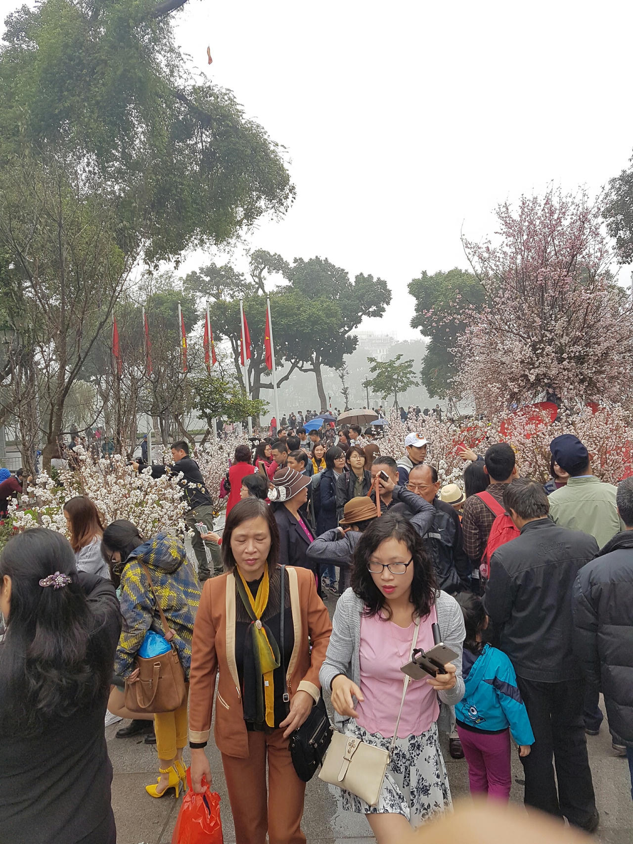 Hà Nội: Người dân thủ đô nô nức với lễ hội hoa anh đào 2017