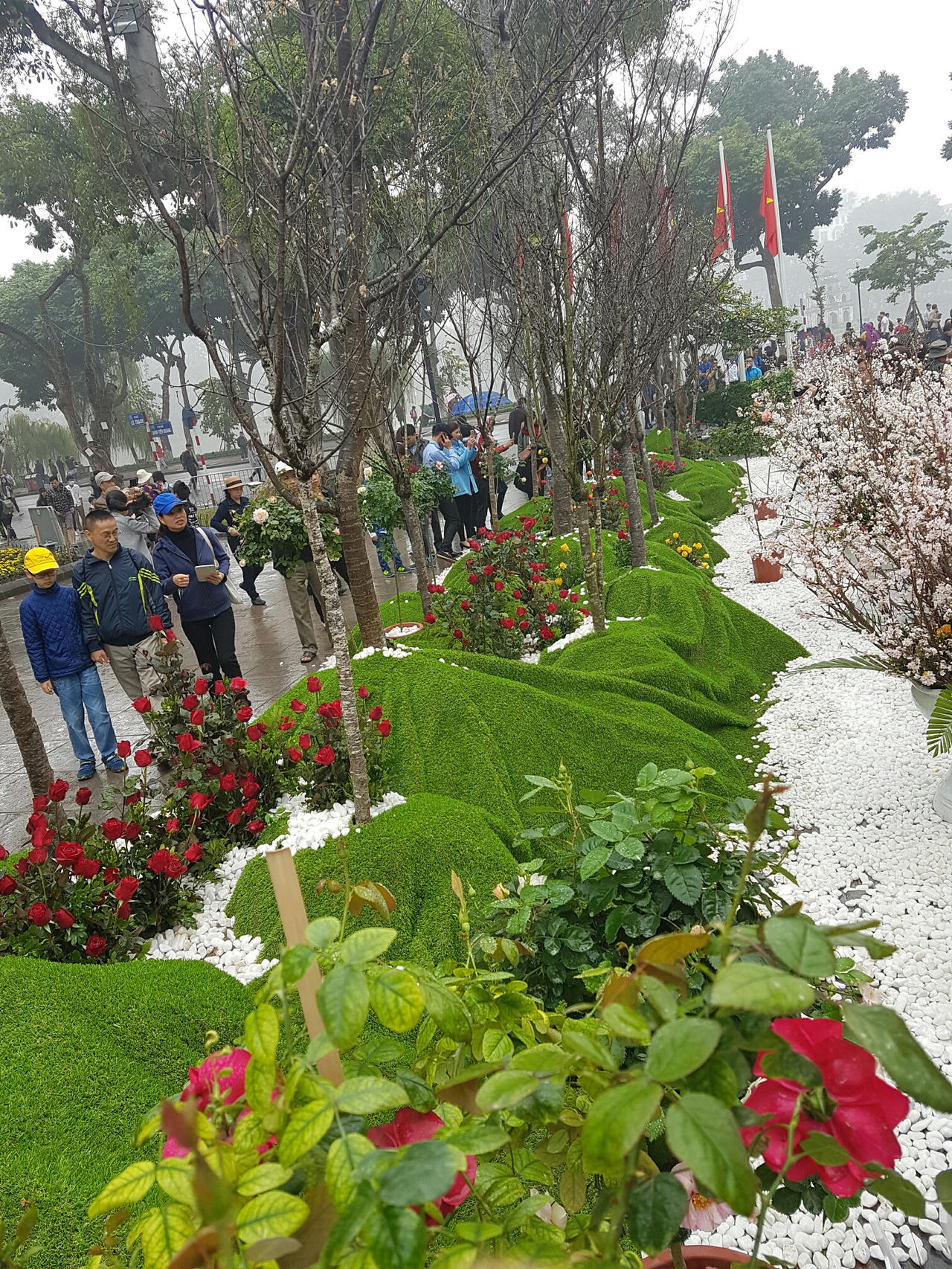 Hà Nội: Người dân thủ đô nô nức với lễ hội hoa anh đào 2017