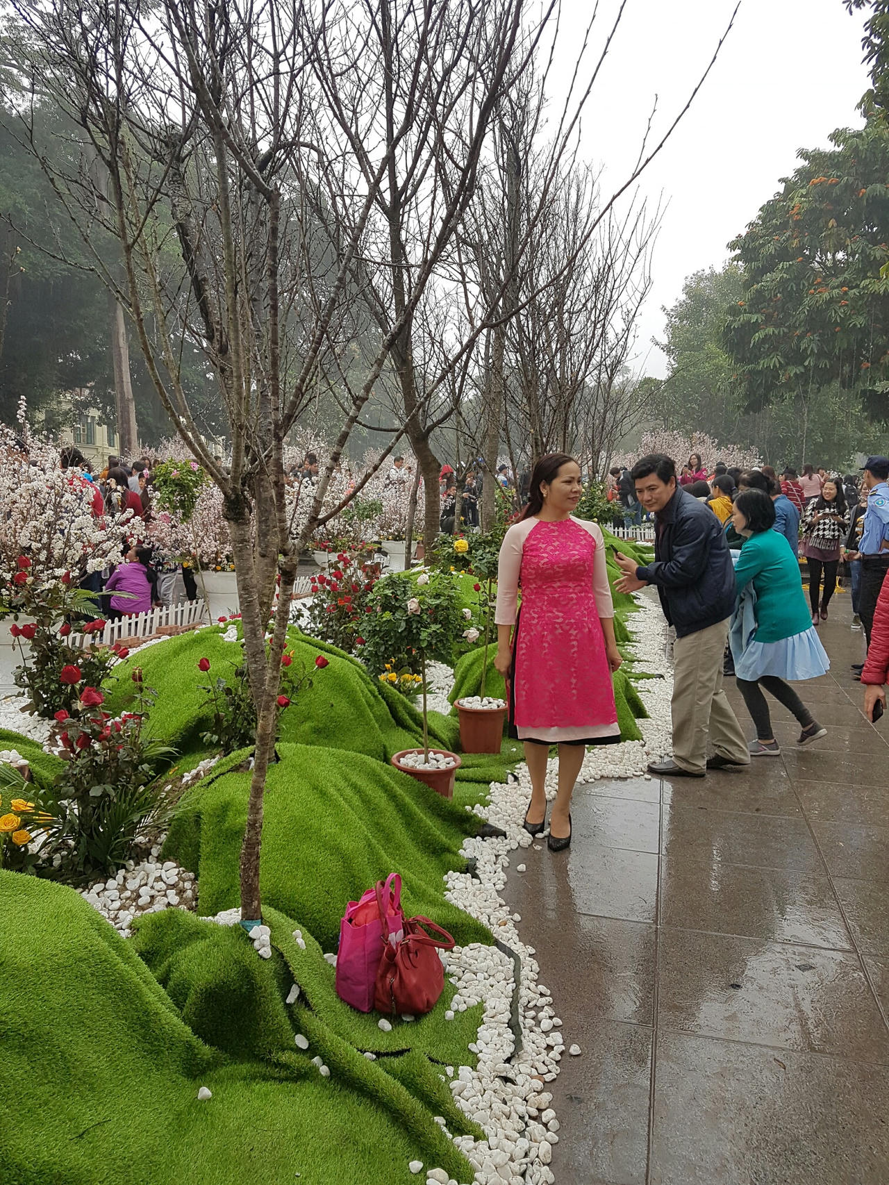 Hà Nội: Người dân thủ đô nô nức với lễ hội hoa anh đào 2017