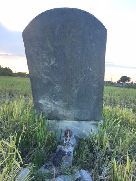 Mộ công chúa Cẩm Vinh Trưởng bị lãng quên?