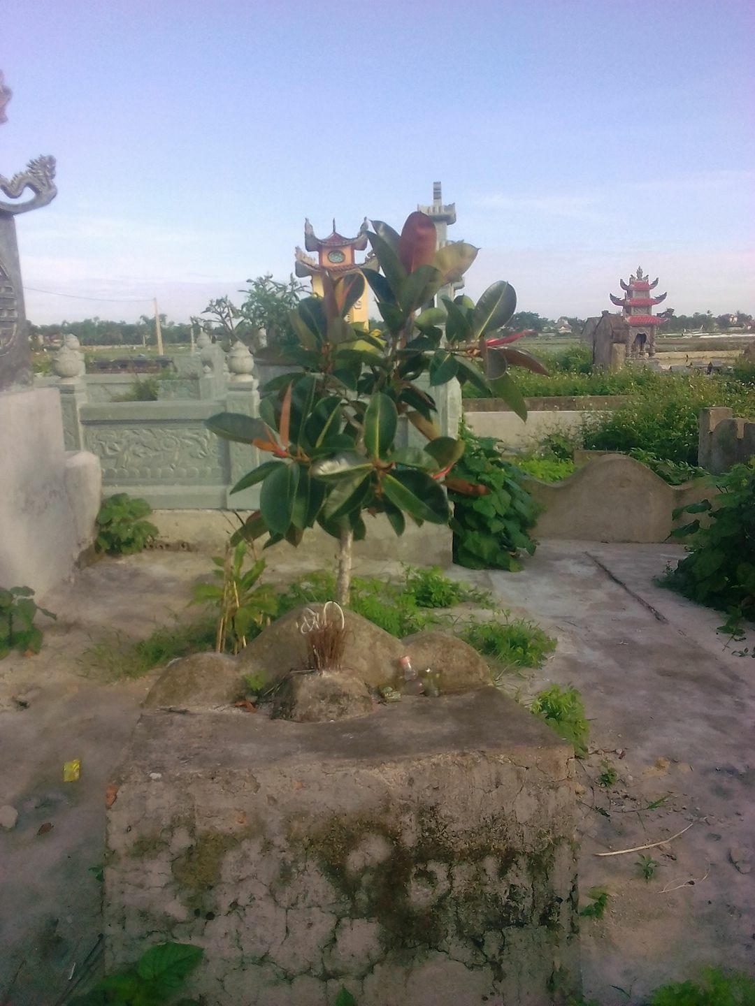 Bài 2: Bí ẩn chuyện quanh mộ Công chúa Cẩm Vinh Trưởng 