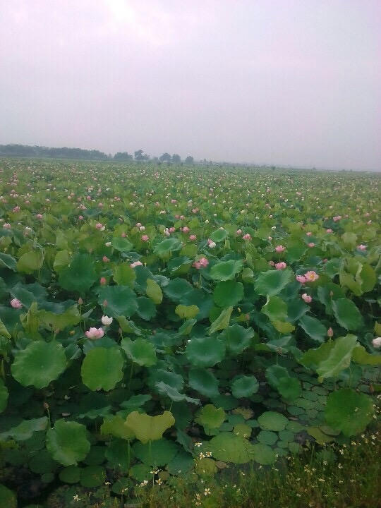 Bài 2: Bí ẩn chuyện quanh mộ Công chúa Cẩm Vinh Trưởng 