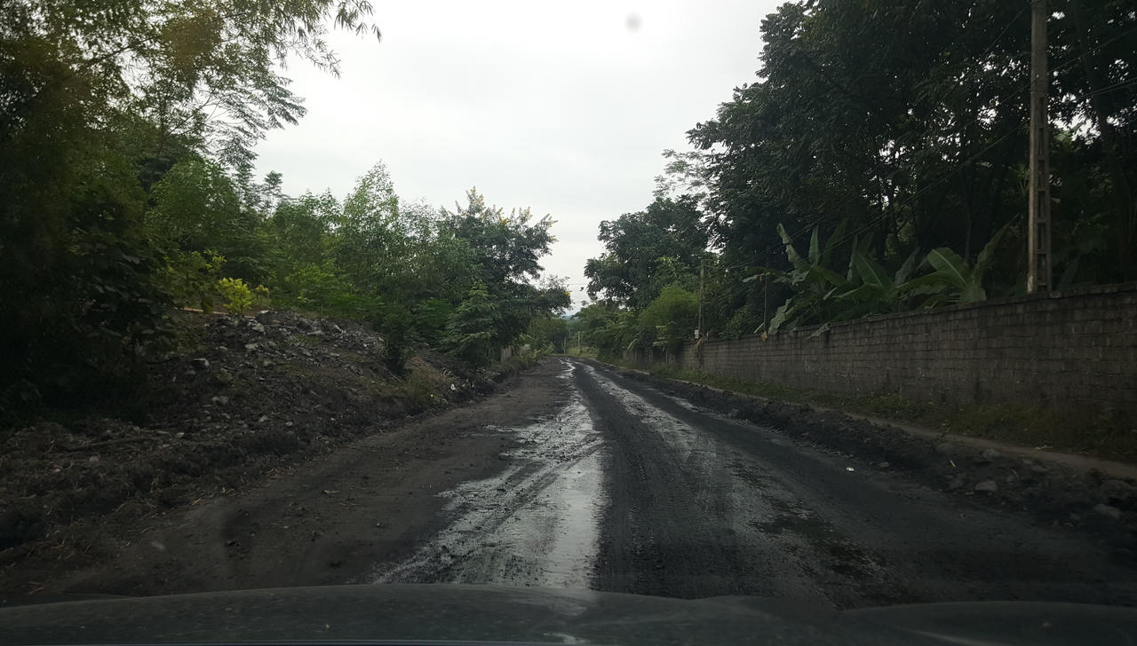 Công ty mỏ than Phấn Mễ khai thác than trái phép và uẩn khúc “Con voi chui lọt lỗ kim”