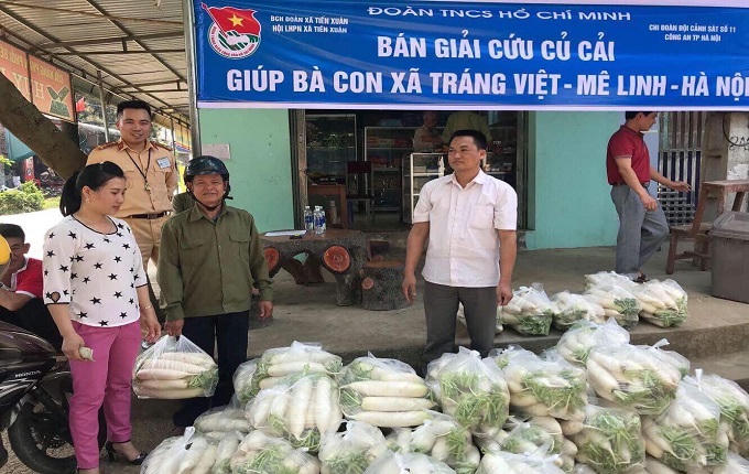 CSGT TP Hà Nội 'giải cứu' củ cải giúp nông dân