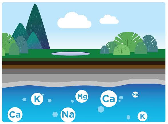Tại sao phải phân biệt nước khoáng với nước tinh khiết?