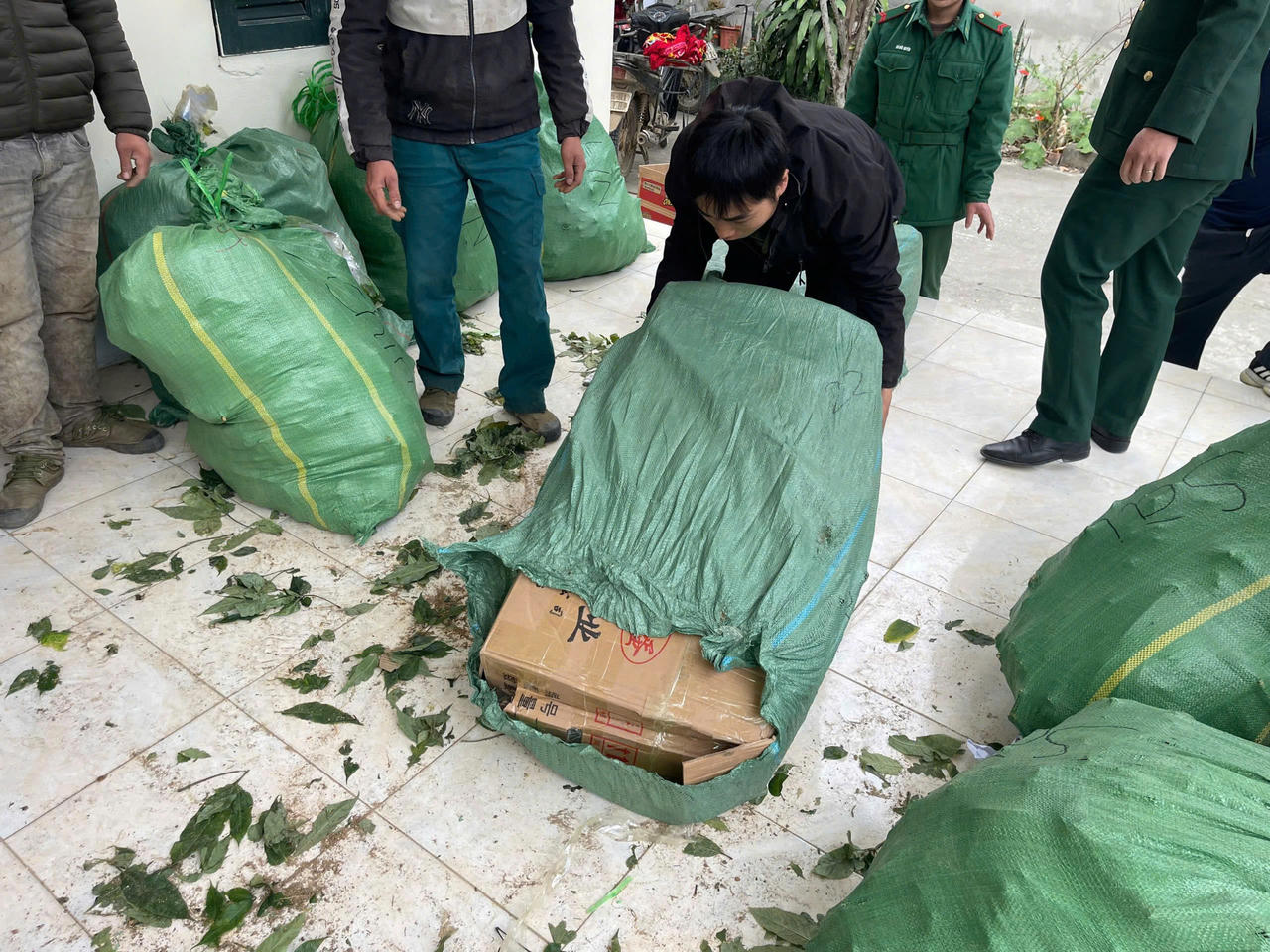 Lai Châu: Bắt nhóm đối tượng vận chuyển sâm lậu từ Trung Quốc vào Việt Nam