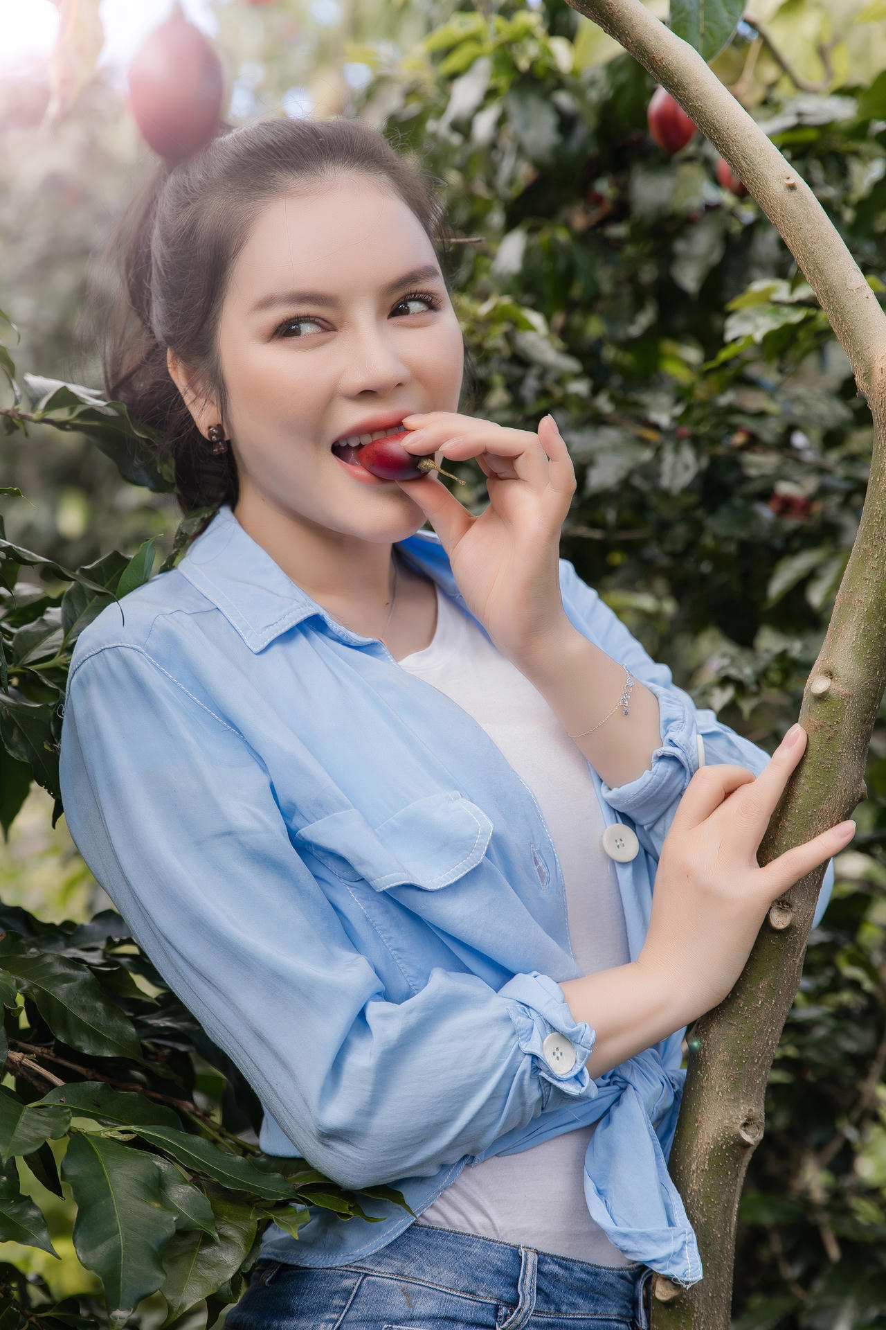 Lý Nhã Kỳ giản dị thu hoạch cà chua 