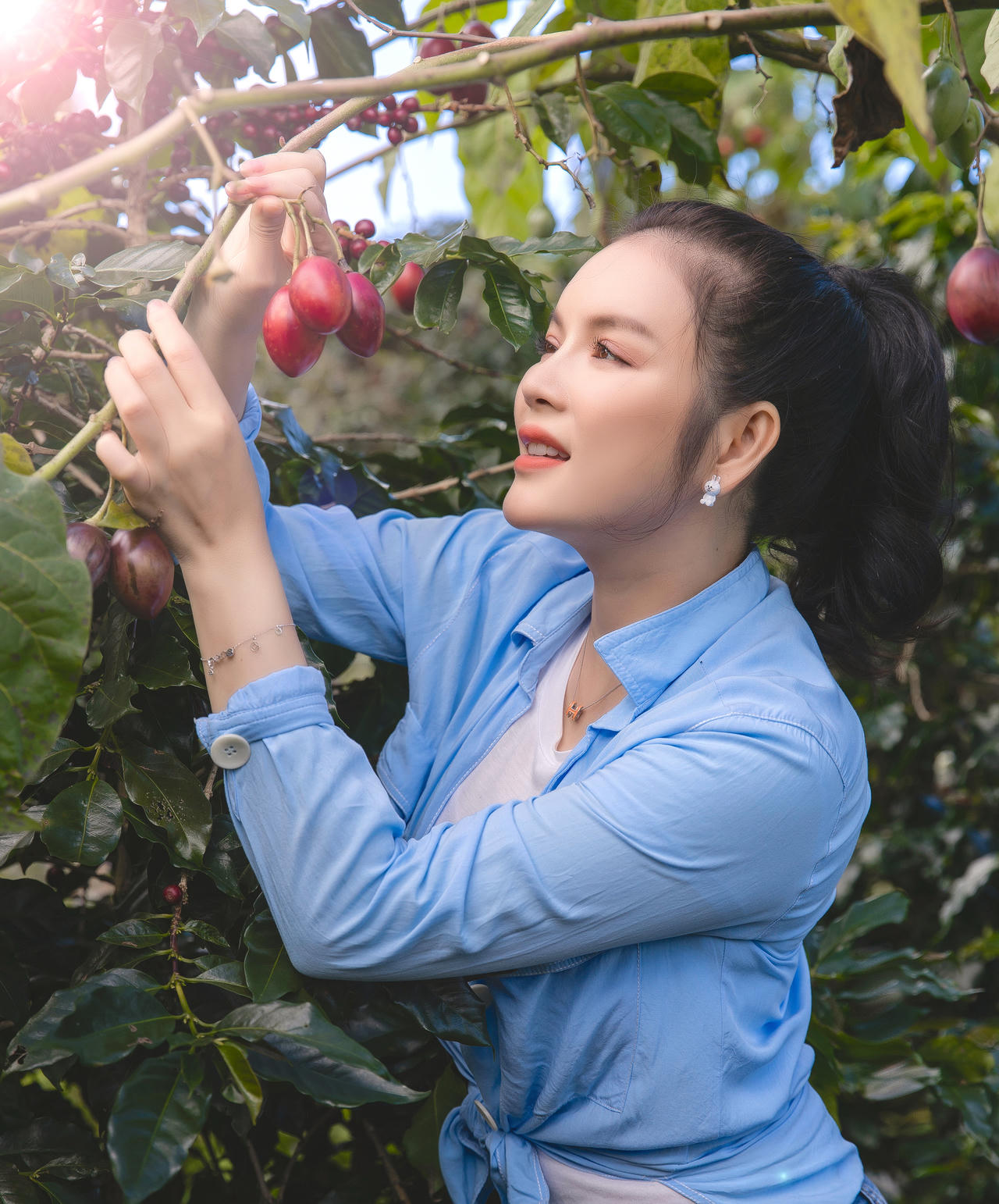 Lý Nhã Kỳ giản dị thu hoạch cà chua 