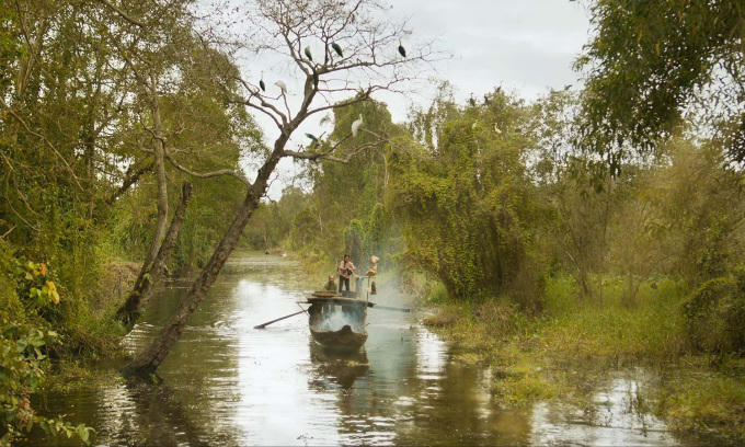 Phim “Đất rừng phương Nam” vượt mốc 1.700 suất chiếu, doanh thu ngày đầu gần 8,3 tỷ đồng