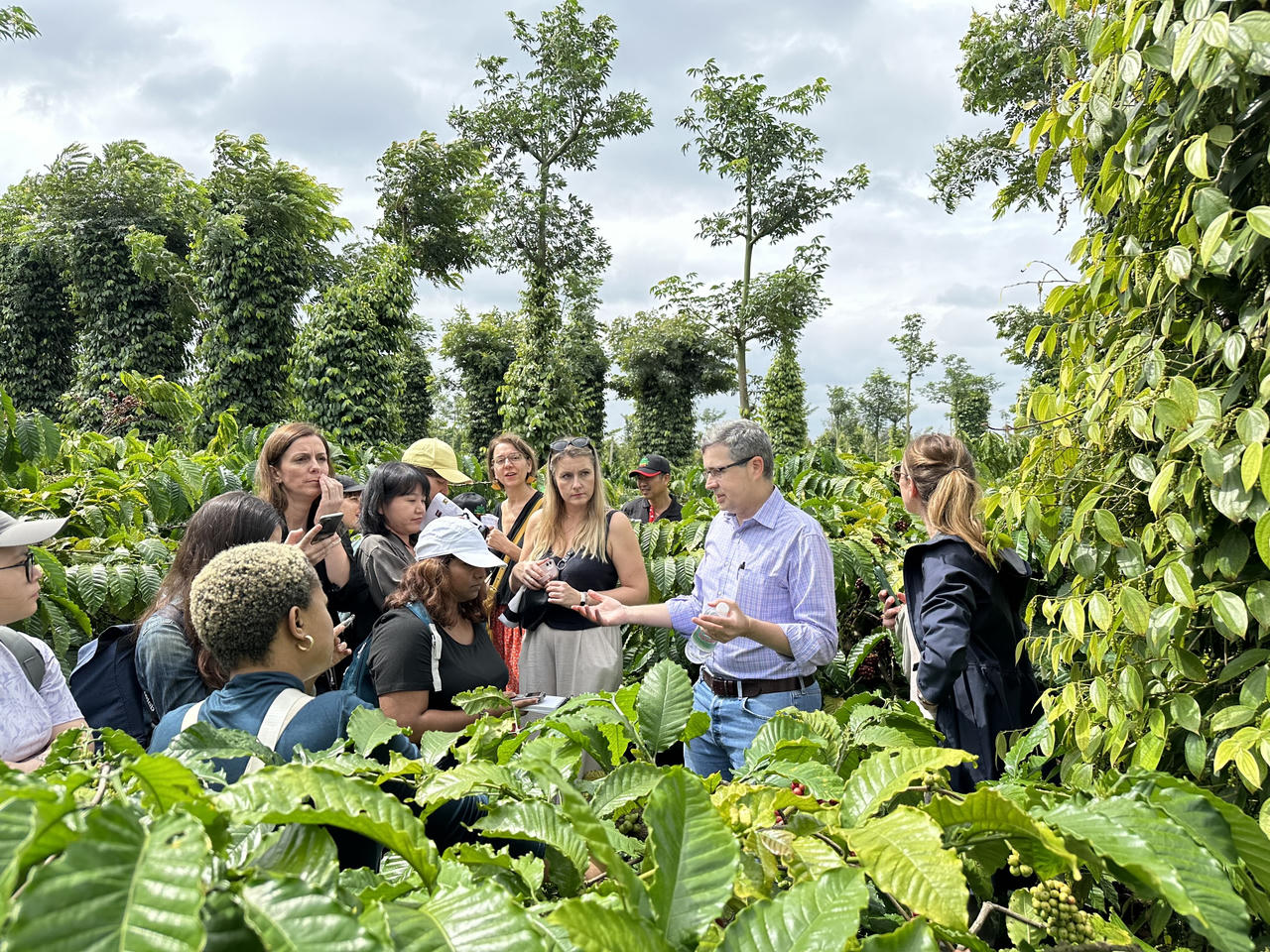 Nestlé nỗ lực quảng bá hình ảnh cà phê Việt ra thế giới 