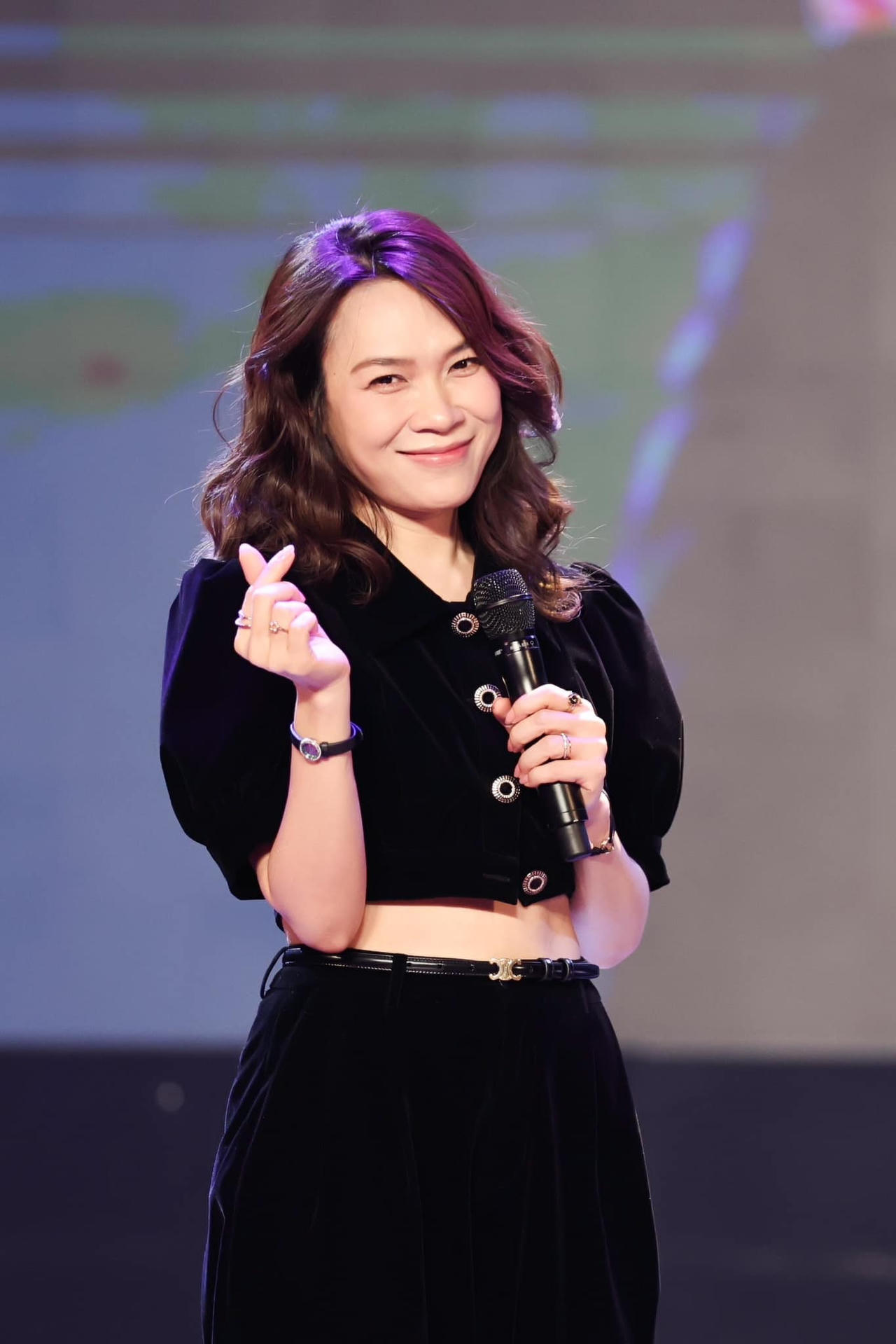 Đàm Vĩnh Hưng: “Mỹ Tâm nhận lời tham gia show nhưng còn bỏ trống phần cát-sê” 