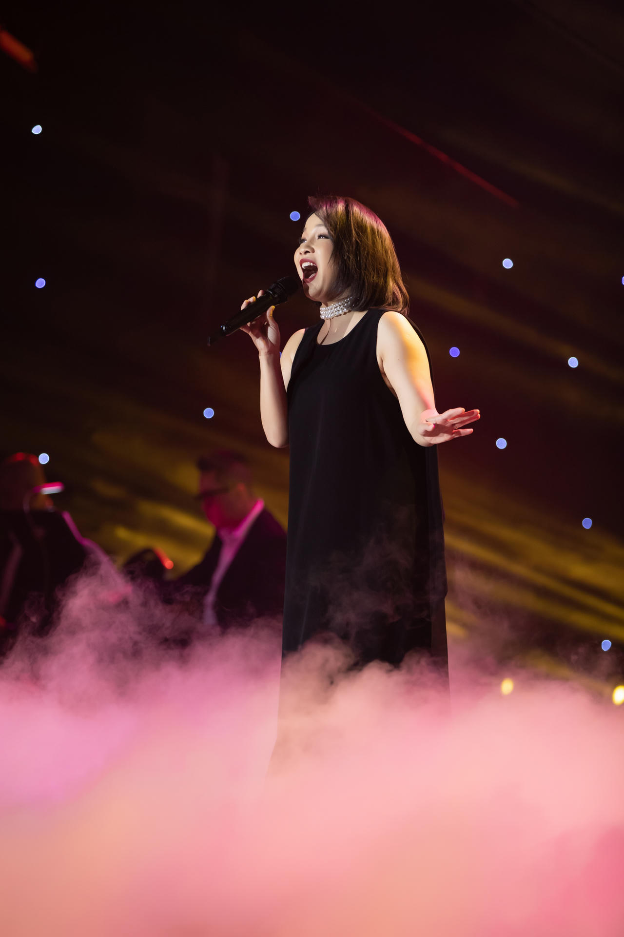 Mỹ Linh lần đầu tiên hát bolero cùng Đàm Vĩnh Hưng