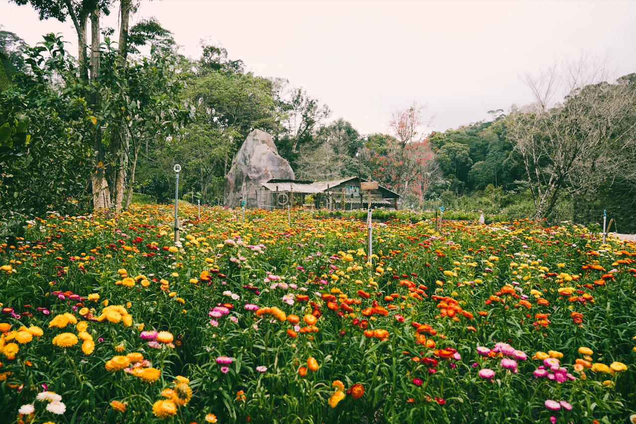 Lý Hải - Minh Hà làm hướng dẫn viên, dẫn du khách tham quan phim trường 'Lật mặt 7'