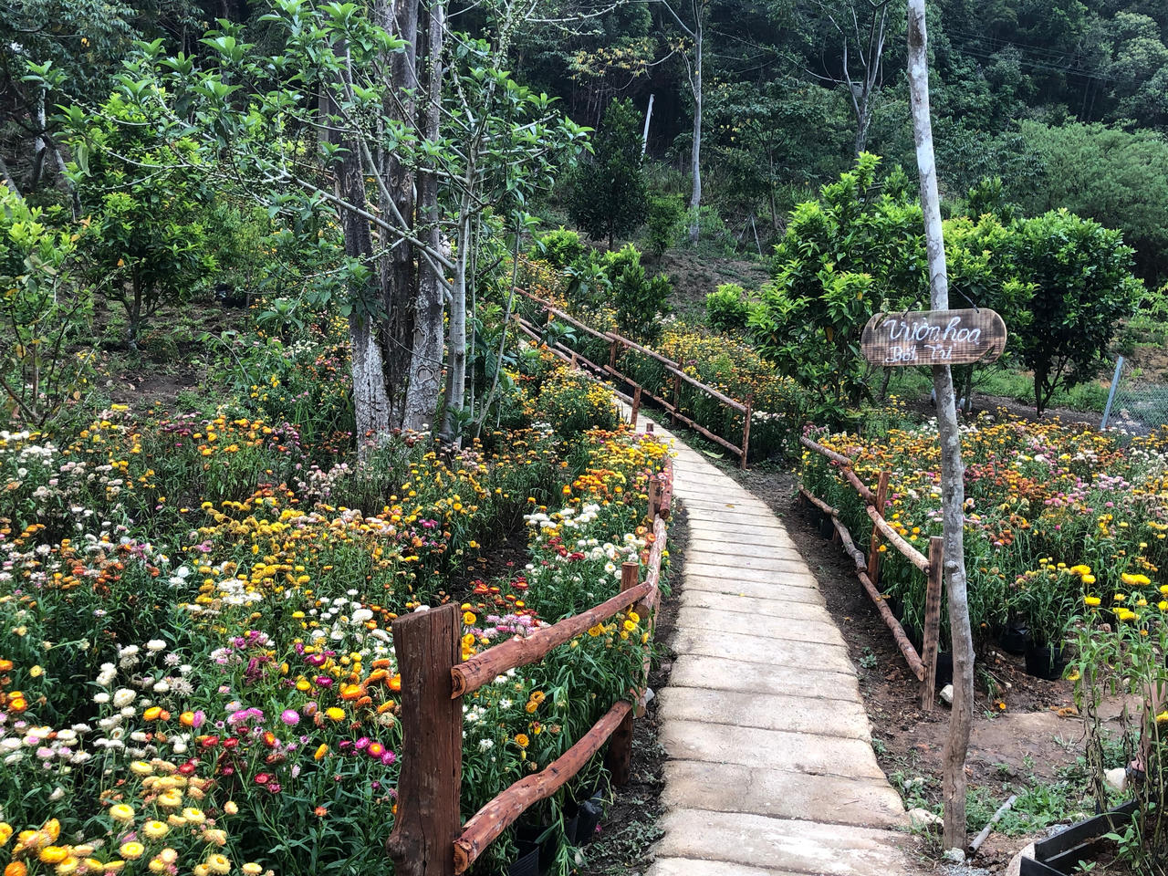 Lý Hải - Minh Hà làm hướng dẫn viên, dẫn du khách tham quan phim trường 'Lật mặt 7'