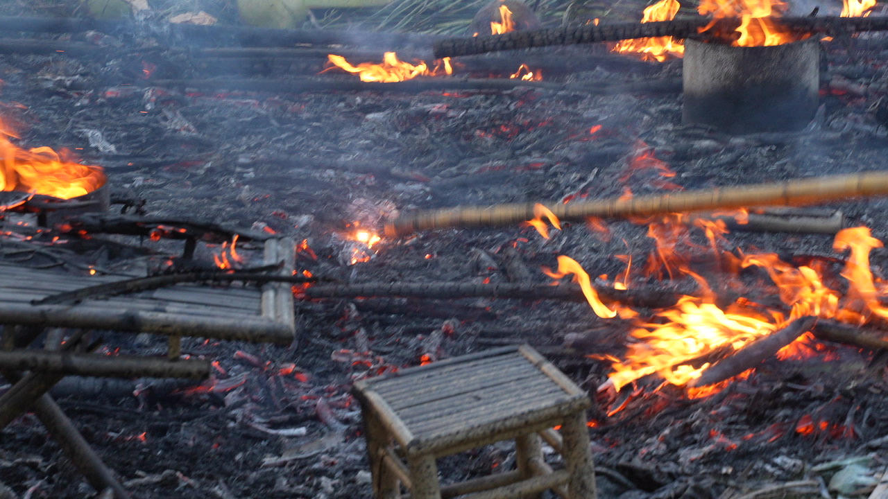 Khi lịch sử trở thành nguồn cảm hứng điện ảnh