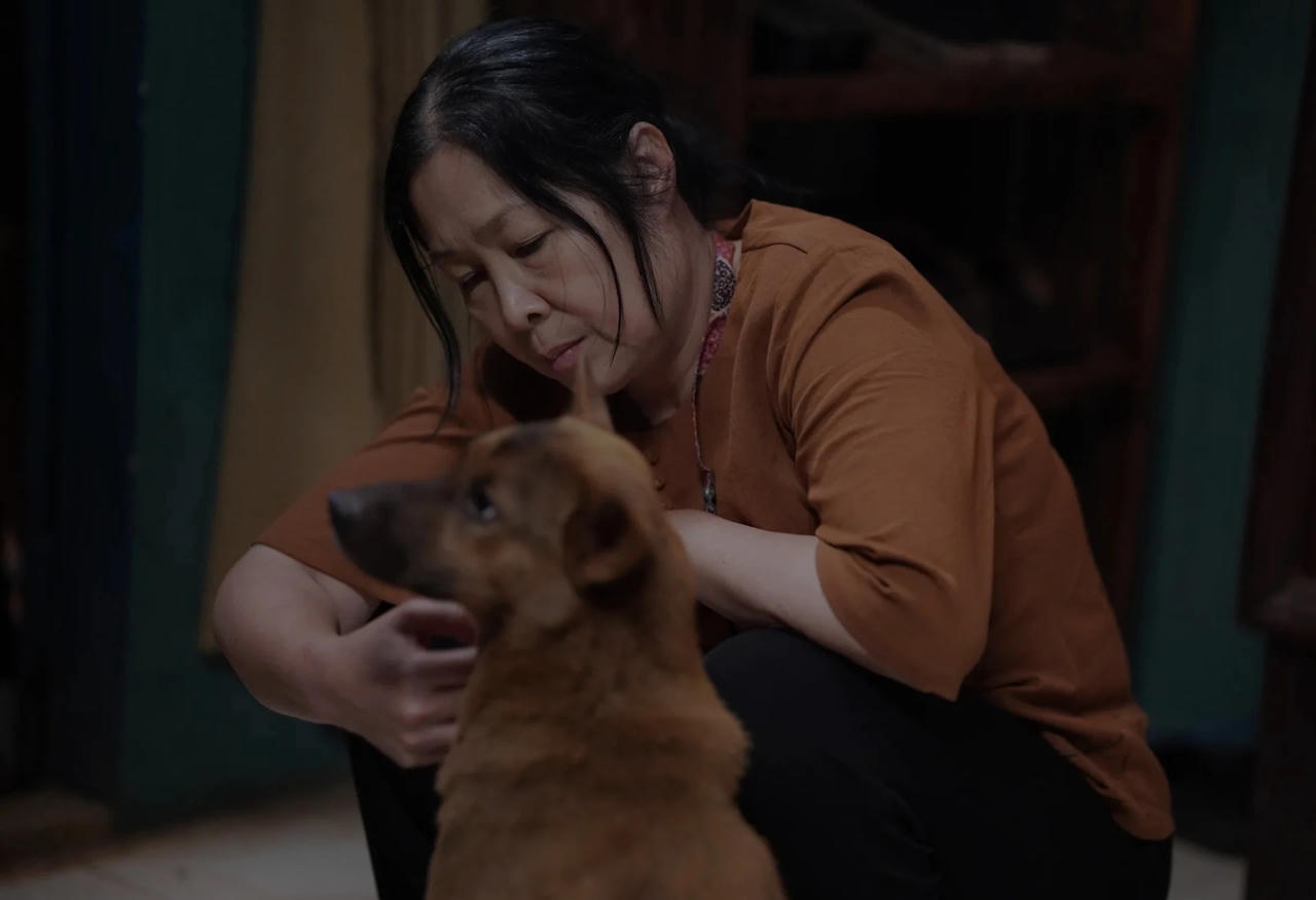 Vì sao doanh thu phim “Tìm xác” không bùng nổ?