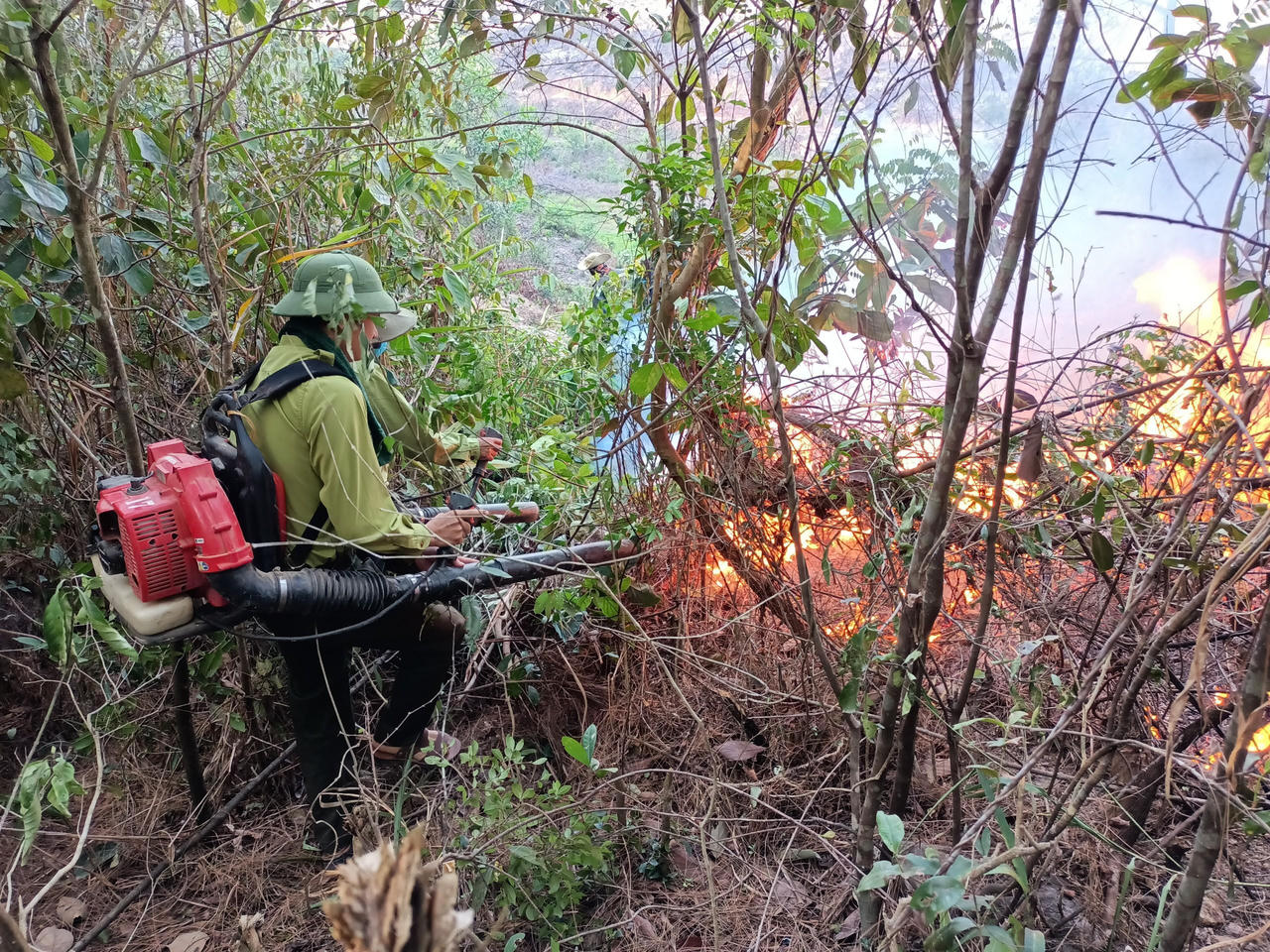 Hỏa hoạn 3 ngày biến nhiều diện tích rừng Thừa Thiên Huế thành than bụi 