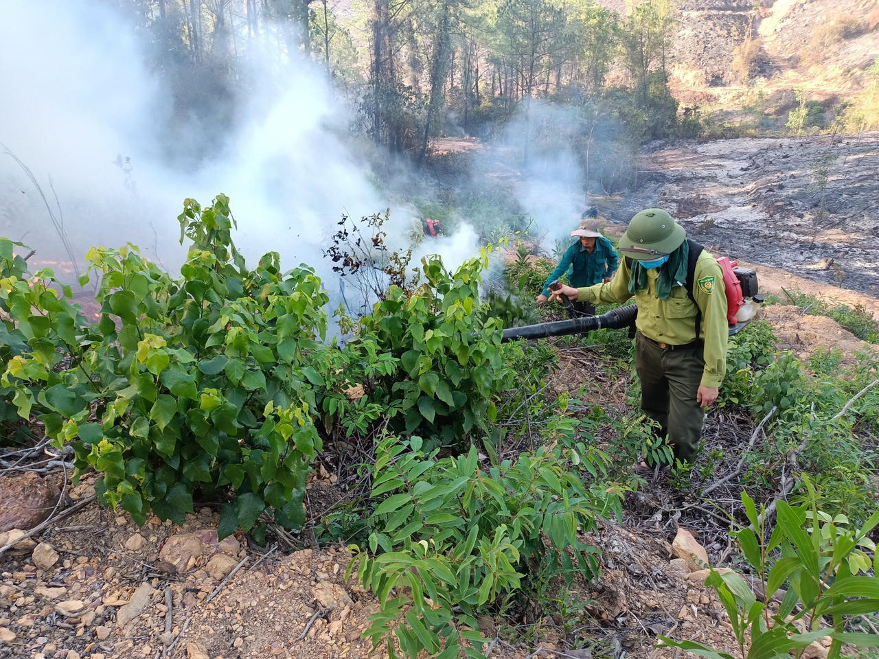 Hỏa hoạn 3 ngày biến nhiều diện tích rừng Thừa Thiên Huế thành than bụi 