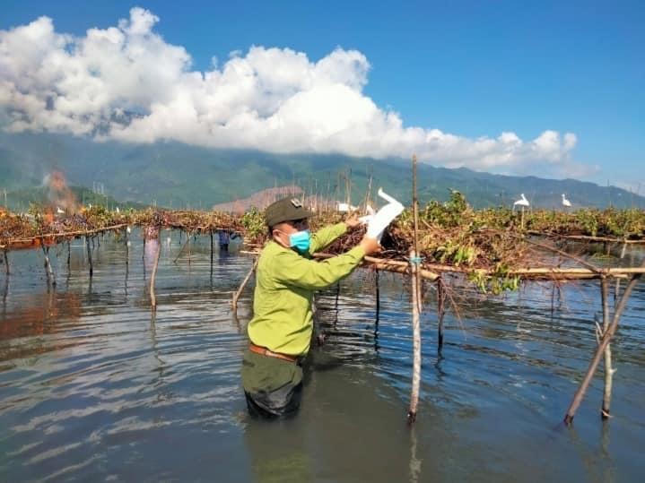Mạnh tay ngăn chặn nạn bẫy chim trời