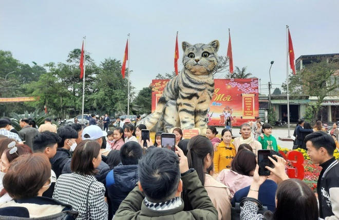 Khen thưởng người tạo hình 'hoa hậu mèo' ở Quảng Trị