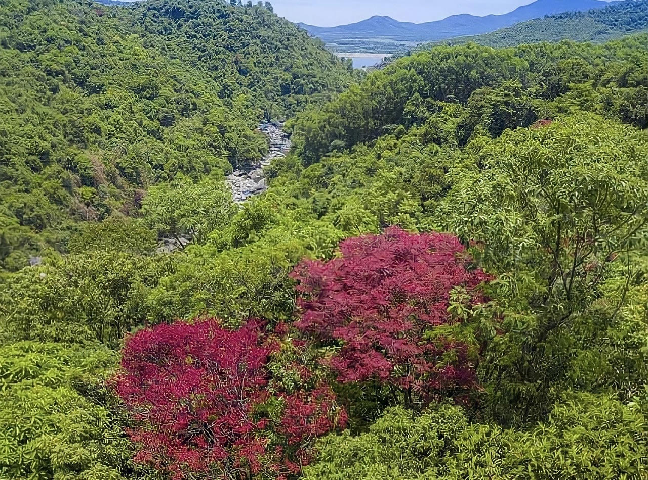 Suối Tiên hoang sơ, đẹp mê hoặc lòng người
