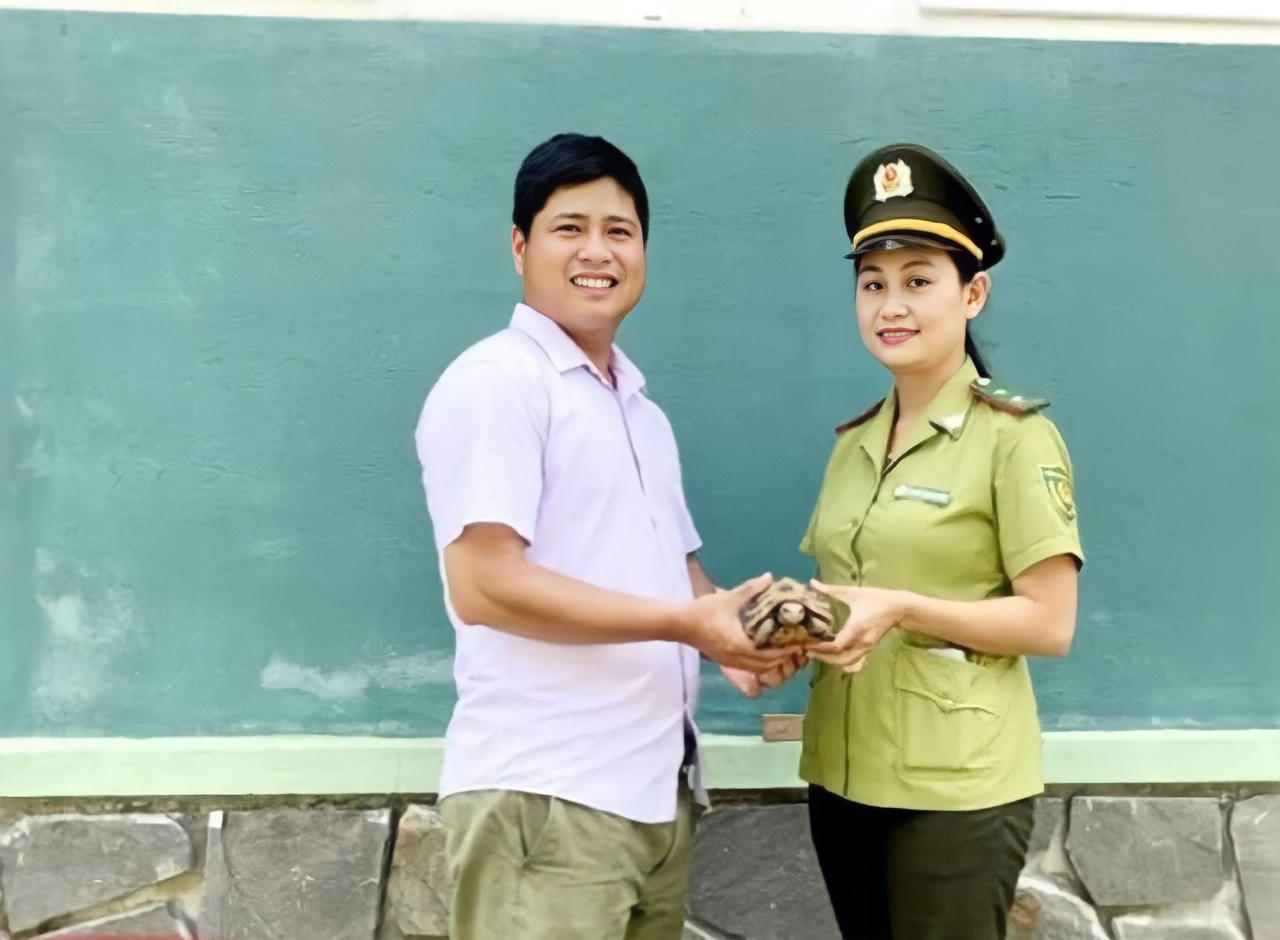 Người dân Huế tự nguyện giao nộp nhiều cá thể rùa quý hiếm