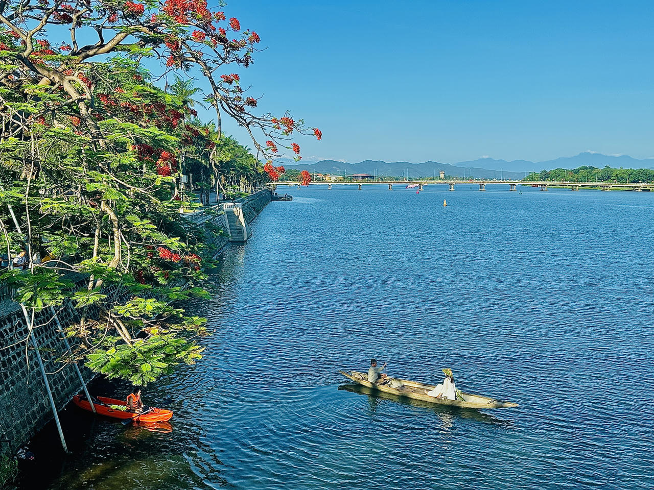 Hè về, phượng hồng khoe sắc khắp trời Cố đô