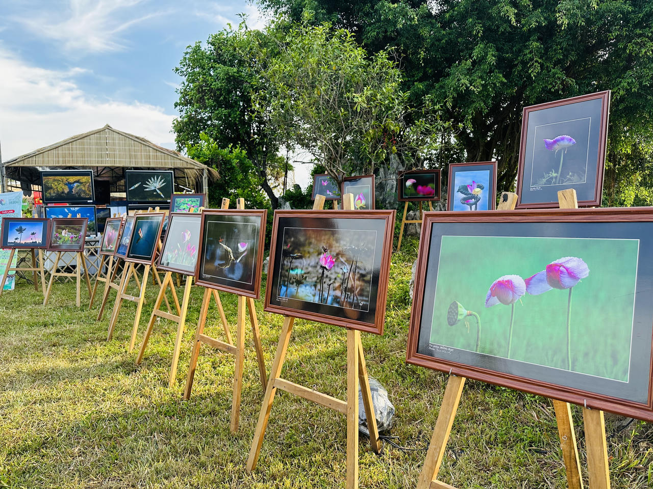 Không gian văn hoá và ẩm thực tại Ngày hội Sen Huế 2023