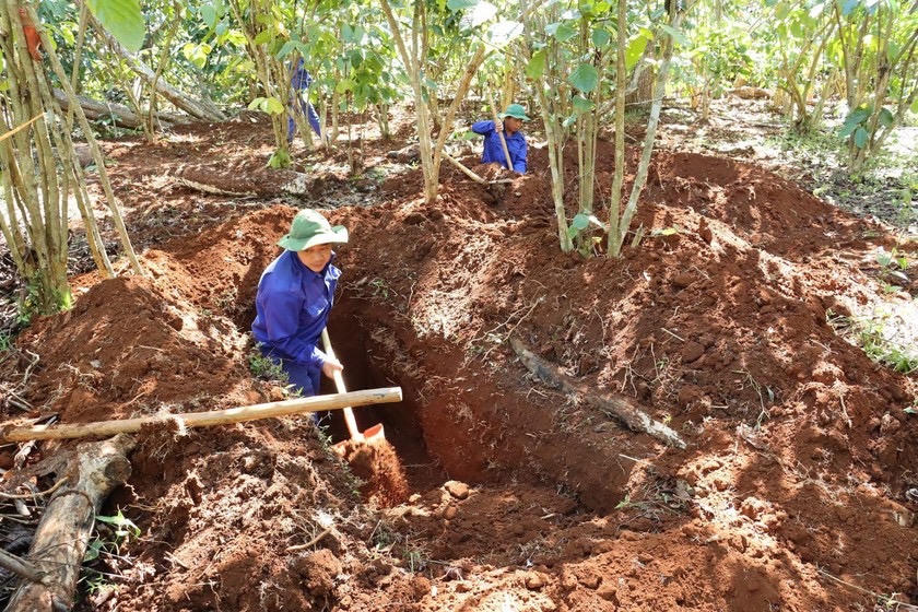 Quy tập hài cốt liệt sĩ – 'Mệnh lệnh từ trái tim'