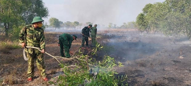 Khống chế thành công đám cháy tại rừng phòng hộ Quảng Trị