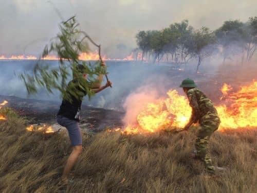 Khống chế thành công đám cháy tại rừng phòng hộ Quảng Trị