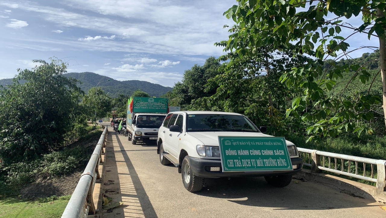 Quỹ Bảo vệ và Phát triển rừng tỉnh Thừa Thiên Huế tích cực góp phần quản lý, bảo vệ và phát triển rừng bền vững