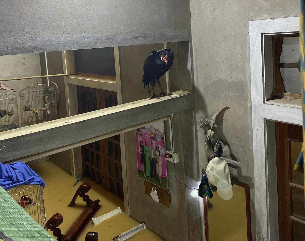 Ngập sâu nhiều đoạn đường, nhà dân và sạt lở do mưa lớn ở các tỉnh Nam Trung bộ