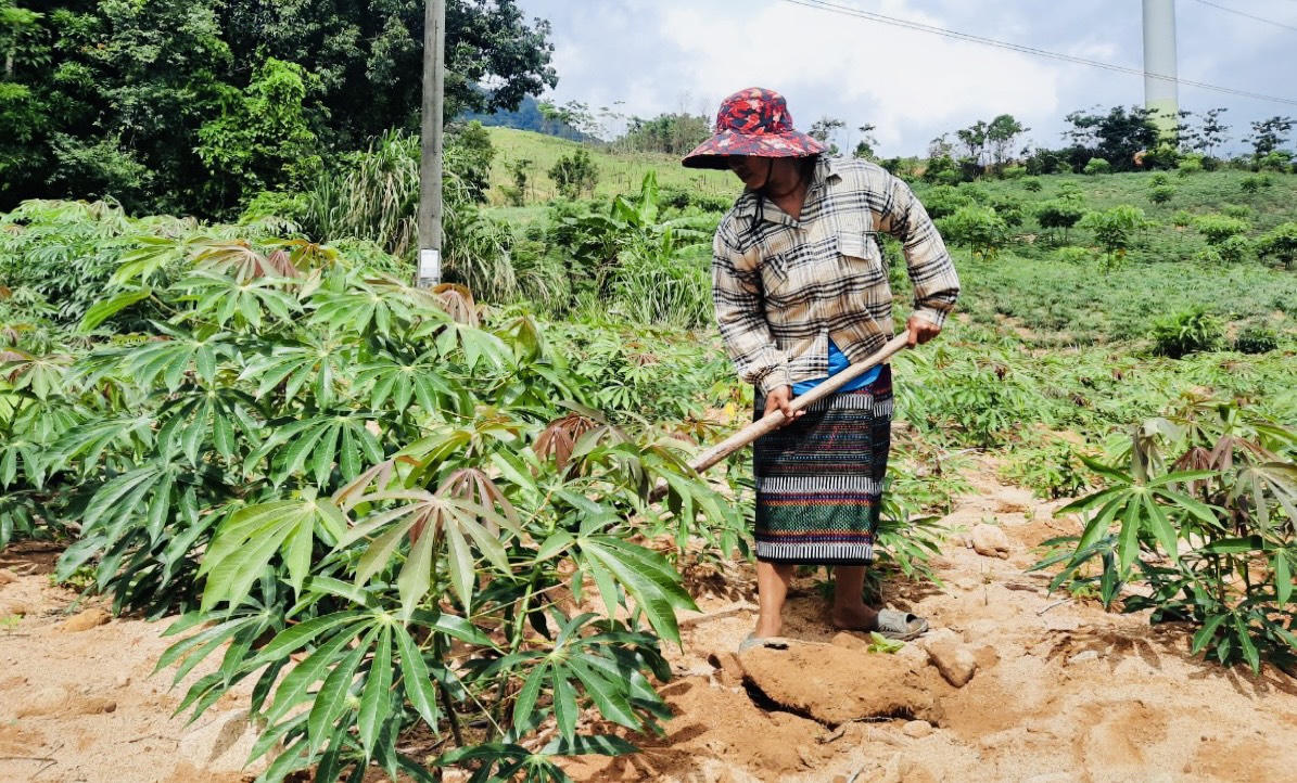 Quảng Trị: Ưu tiên triển khai cấp đất ở, đất sản xuất cho đồng bào dân tộc thiểu số