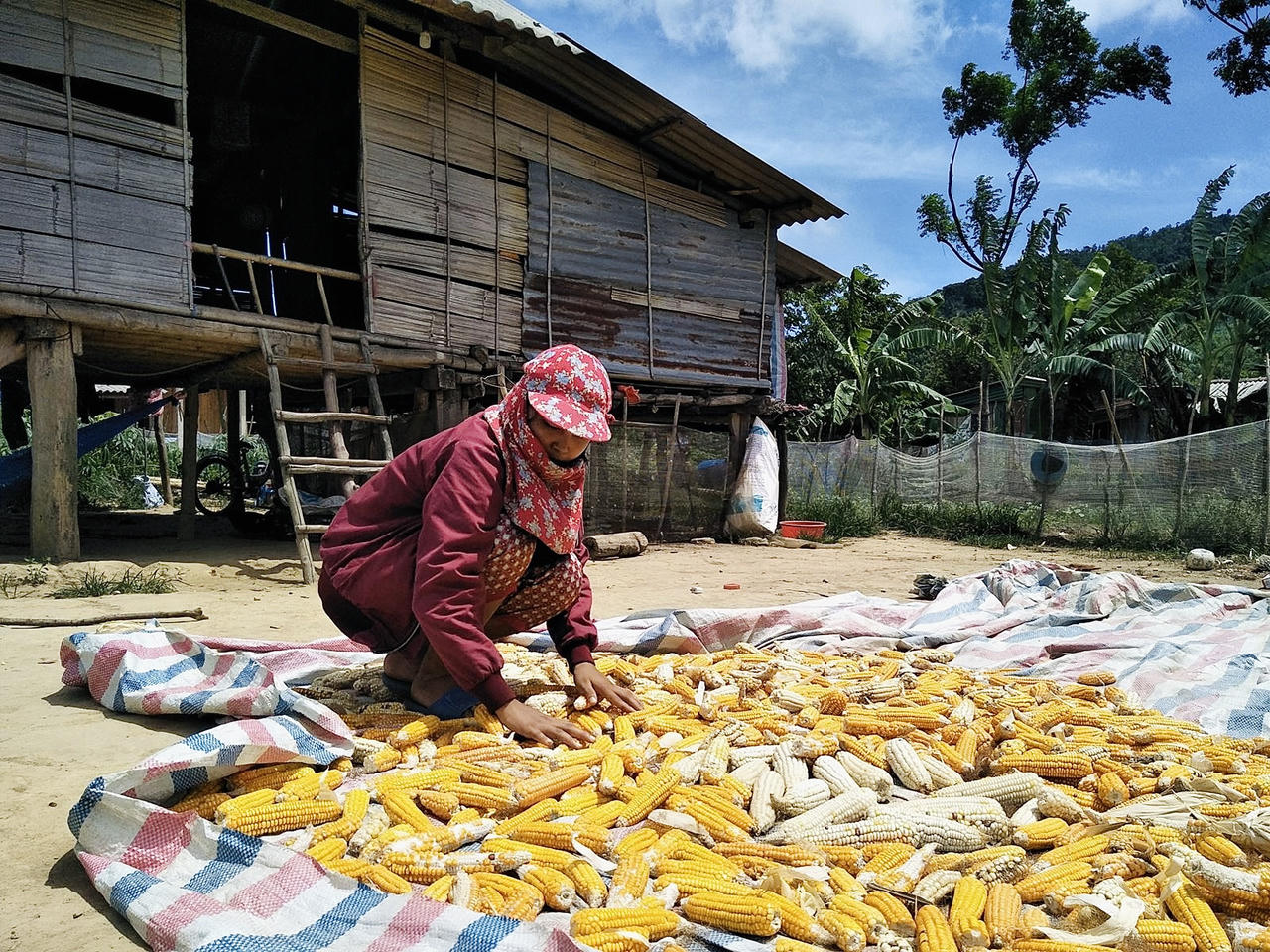 Quảng Trị: Ưu tiên triển khai cấp đất ở, đất sản xuất cho đồng bào dân tộc thiểu số