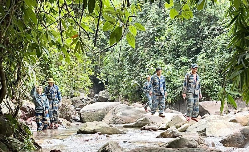 Phát triển, bảo vệ rừng bền vững dựa vào cộng đồng