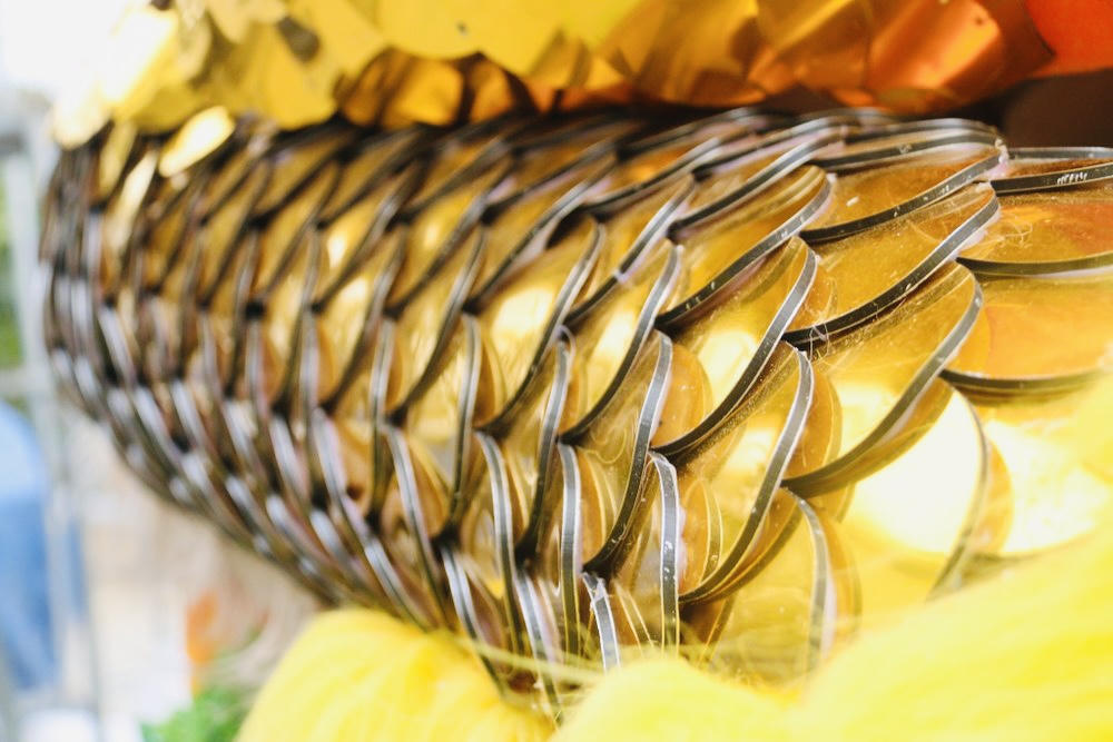 Quảng Trị trình làng linh vật rồng uy nghi, gây ‘sốt’ mạng xã hội