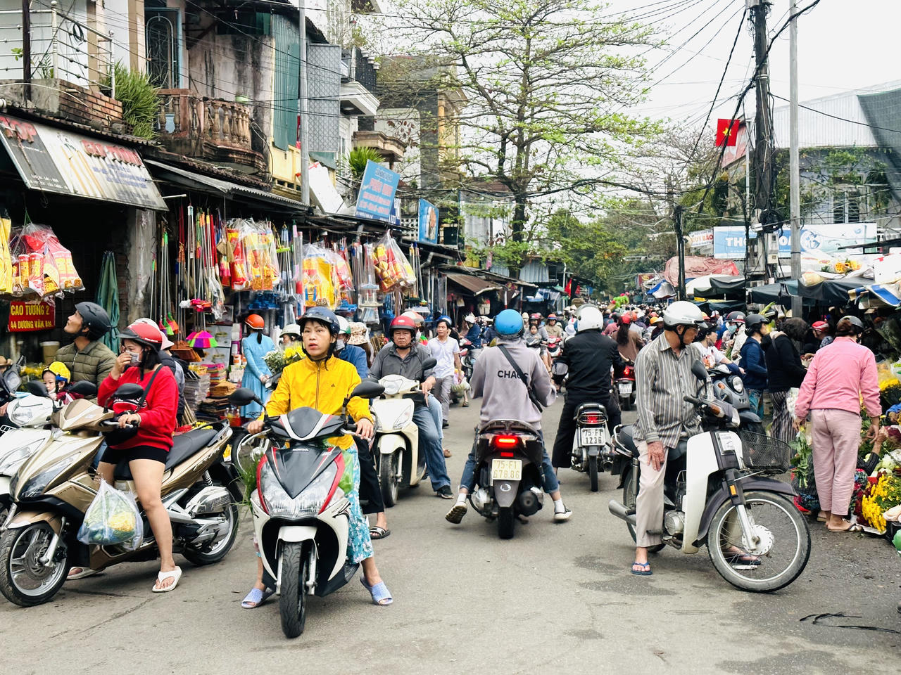 Huế rộn ràng vào xuân