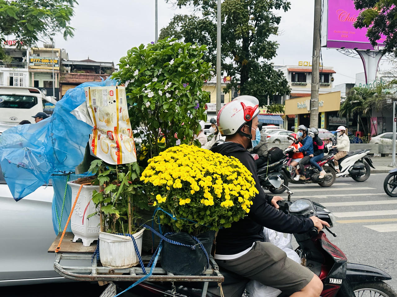 Huế rộn ràng vào xuân