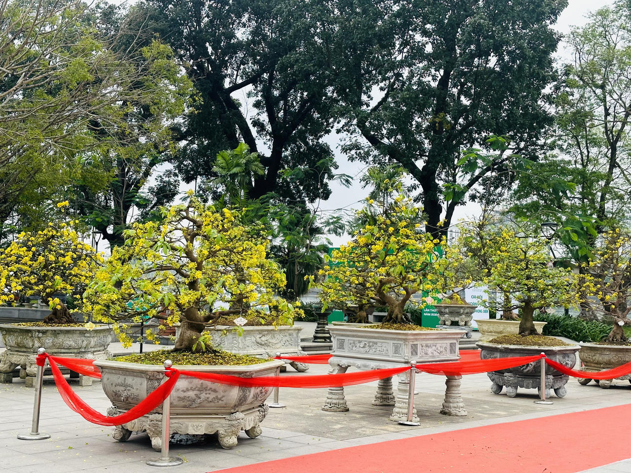 Huế rộn ràng vào xuân