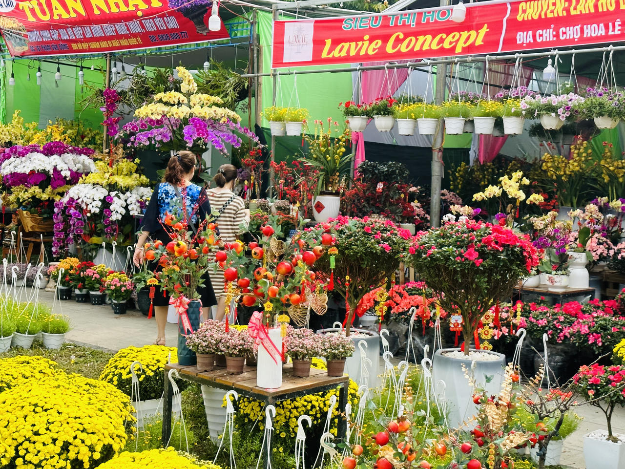 Huế rộn ràng vào xuân